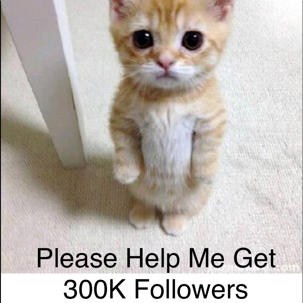 Please help me reach 300k followers 🌸🌸😇😇